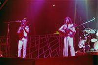 Live Shots